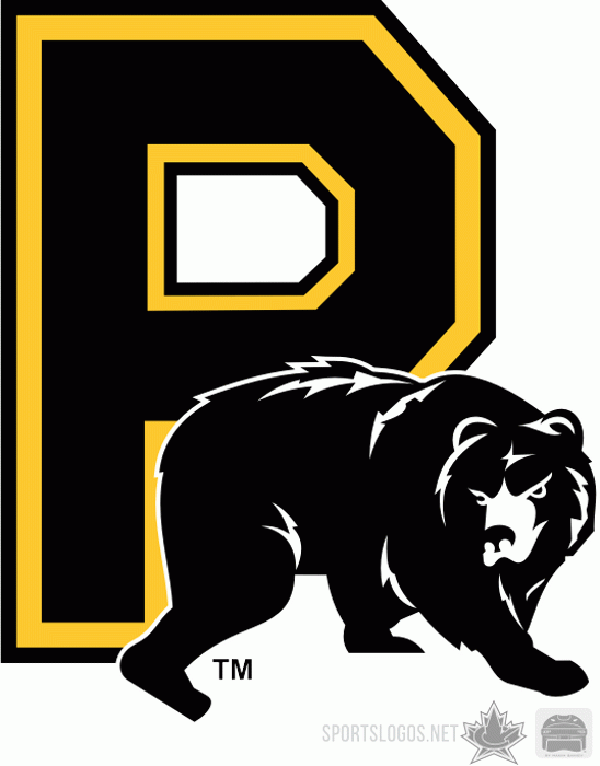 Providence Bruins 2008 09 Alternate Logo iron on heat transfer